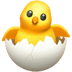 :hatching_chick: