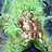 Broly